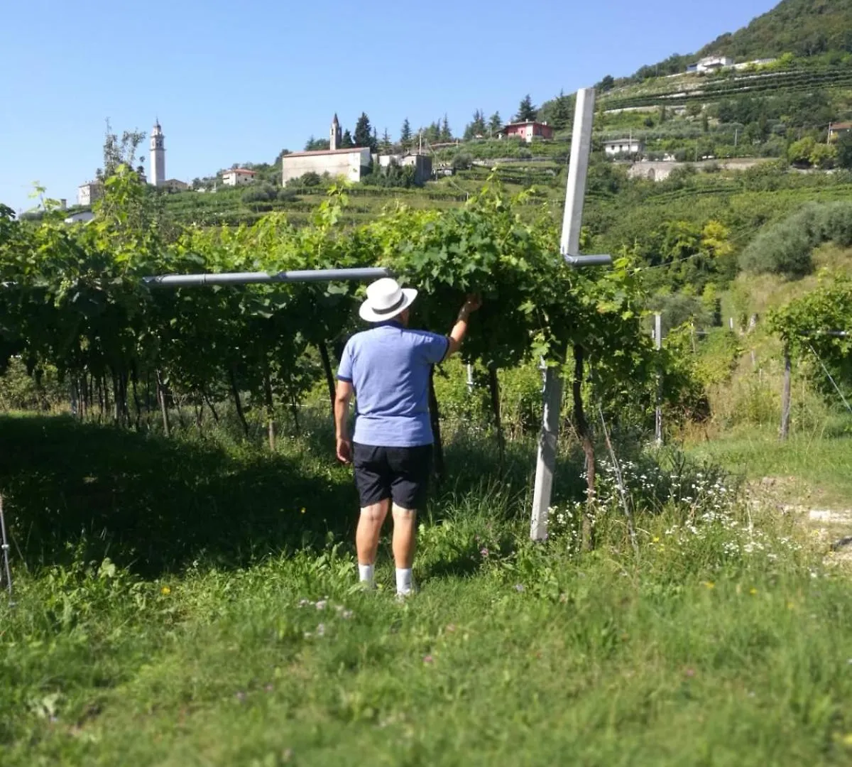 Agriturismo Cascina Capo Negrar