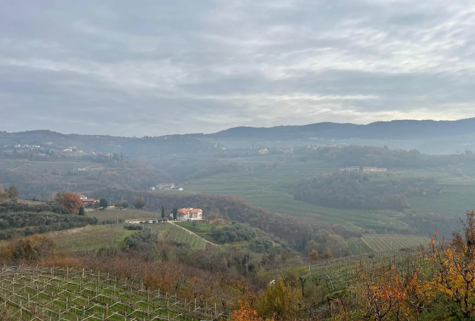 Agriturismo Cascina Capo 内格拉尔