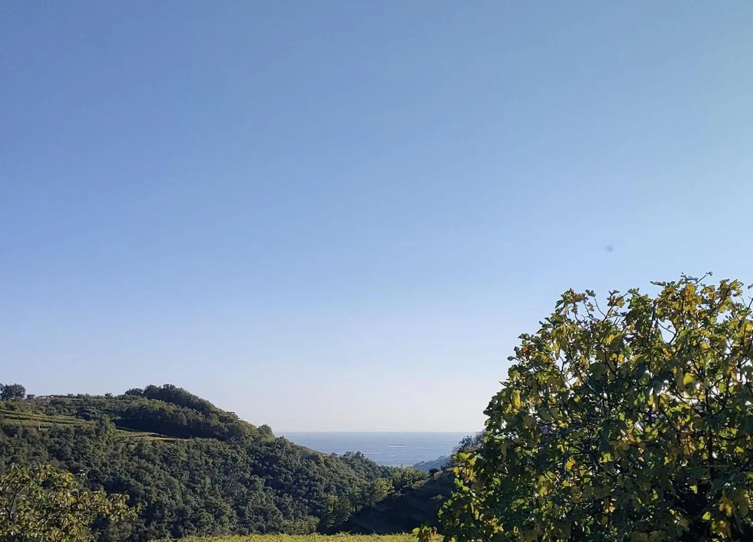 Farm stay Agriturismo Cascina Capo Negrar Italy